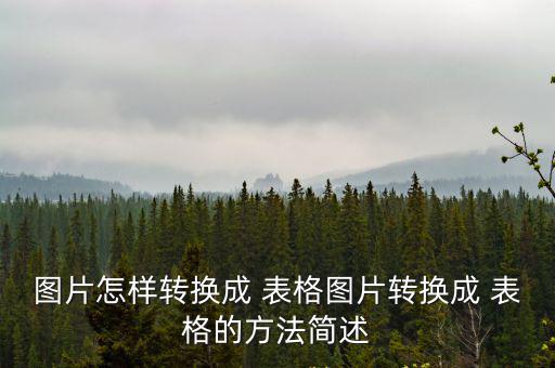 圖片怎樣轉(zhuǎn)換成 表格圖片轉(zhuǎn)換成 表格的方法簡述