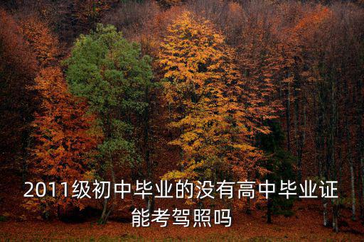 2011級(jí)初中畢業(yè)的沒(méi)有高中畢業(yè)證能考駕照嗎