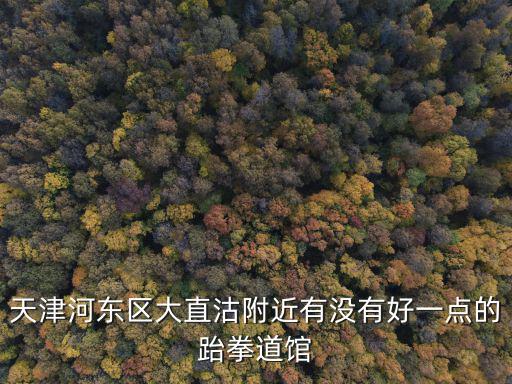 鞠雅昕跆拳道天津市，當拳擊手男孩遇到跆拳道女孩今天晚上看天津衛視愛情保衛戰有