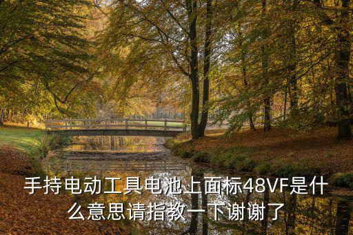 手持電動工具電池上面標48VF是什么意思請指教一下謝謝了