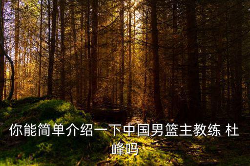 你能簡單介紹一下中國男籃主教練 杜峰嗎