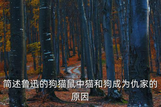 狗貓鼠,我和你一樣希望被記住的日子
