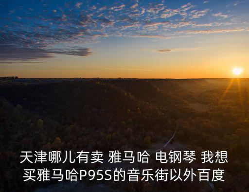 天津市祥瑞達商貿有限公司，天津哪兒有賣 雅馬哈 電鋼琴 我想買雅馬哈P95S的音樂街以外百度