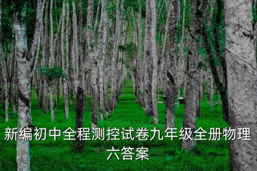 新編初中全程測控試卷九年級全冊物理六答案