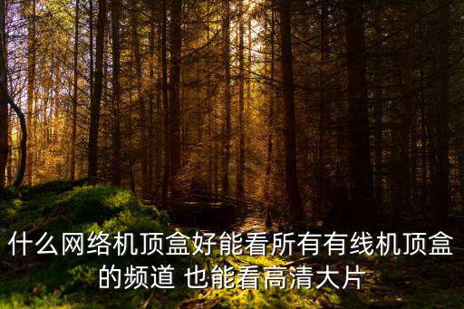 什么網絡機頂盒好能看所有有線機頂盒的頻道 也能看高清大片