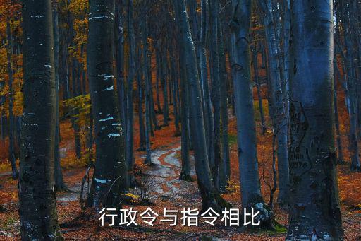 行政令與指令相比