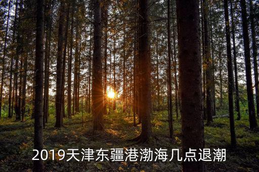2019天津東疆港渤海幾點(diǎn)退潮