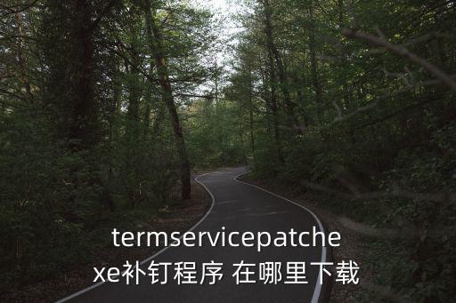 termservicepatchexe補釘程序 在哪里下載