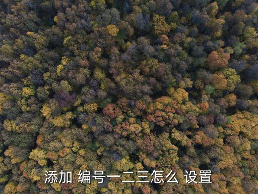 編號格式怎么設(shè)置,如何使用自定義編號方式?