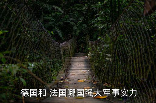 德國和法國,冷戰結束和德國統一后德國安全環境發生根本性變化