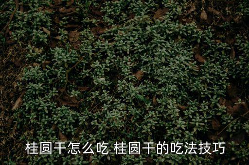 桂圓怎么吃,桂圓干吃秘訣:先打破外殼再放入適量食材