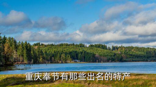 重慶市內的奉節包子，重慶寄包裹到奉節要好久時間