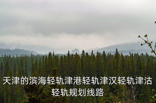 天津的濱海輕軌津港輕軌津漢輕軌津沽輕軌規劃線路