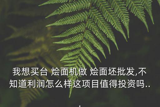 我想買臺 燴面機做 燴面坯批發,不知道利潤怎么樣這項目值得投資嗎...