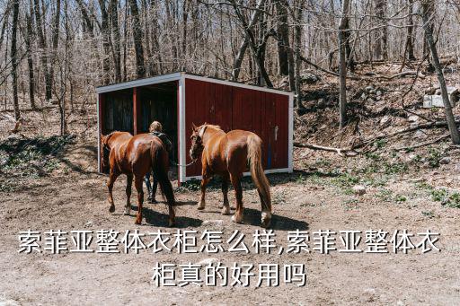 裝飾柜圖片,索菲亞電視墻設計風格獨特實用性大大提高