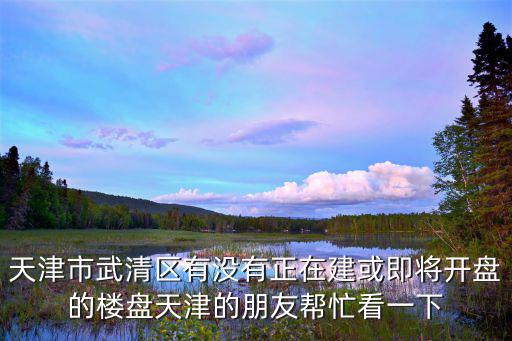 天津市武清區(qū)有沒有正在建或即將開盤的樓盤天津的朋友幫忙看一下