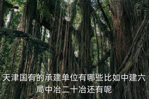 天津國有的承建單位有哪些比如中建六局中冶二十冶還有呢