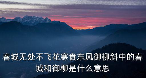 重慶市永川區置城御苑，御苑怎么讀