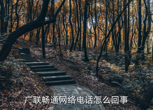 廣聯暢通網絡電話怎么回事