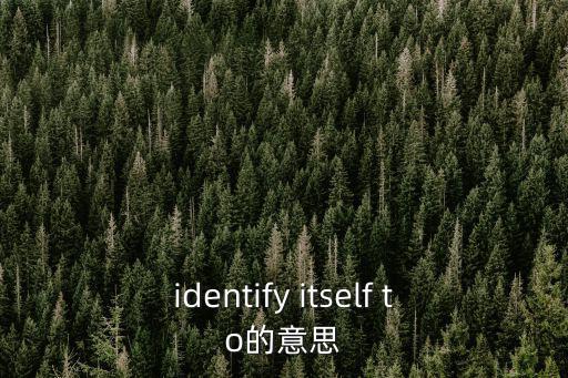 identify itself to的意思