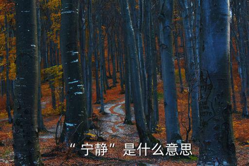 寧靜是什么意思,淡泊寧靜:不追求名利過簡單生活
