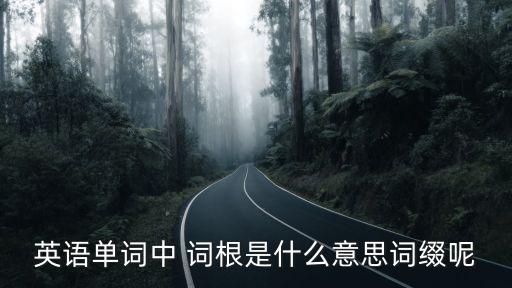 詞根是什么意思,英語詞根，前綴后綴大全詞根