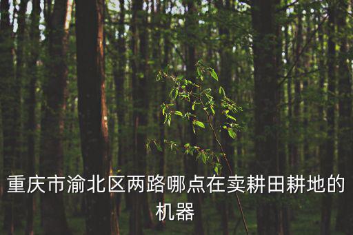 重慶市渝北區兩路哪點在賣耕田耕地的機器