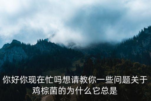 你好你現(xiàn)在忙嗎想請(qǐng)教你一些問題關(guān)于雞棕菌的為什么它總是