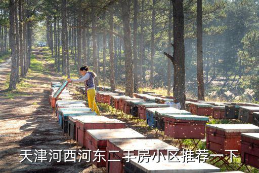 天津市河西區(qū)美泉新苑二手房，天津河西河?xùn)|二手房小區(qū)推薦一下
