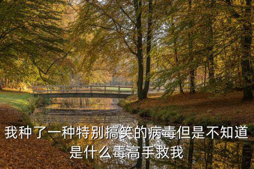 我種了一種特別搞笑的病毒但是不知道是什么毒高手救我