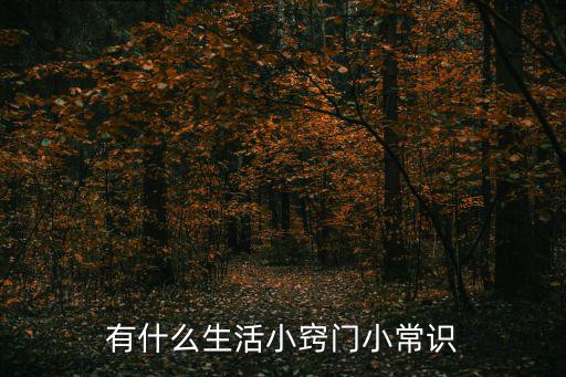 有什么生活小竅門小常識