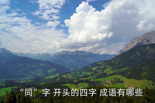 共字開頭的成語,同心協力、同歸于盡等四個成語出爐