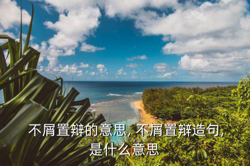  不屑置辯的意思, 不屑置辯造句,是什么意思