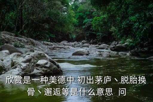 欣賞是一種美德中 初出茅廬丶脫胎換骨丶邂逅等是什么意思  問