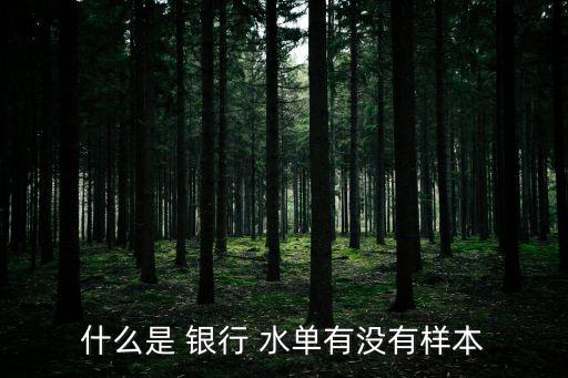 什么是 銀行 水單有沒有樣本