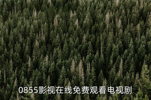 0855影視在線免費(fèi)觀看電視劇