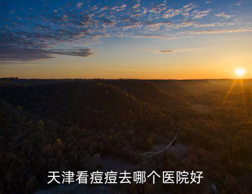 天津市河西免費問皮膚科醫生，天津市皮膚科專家