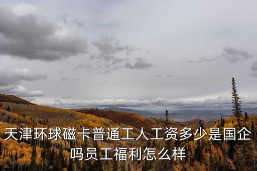 天津環球磁卡普通工人工資多少是國企嗎員工福利怎么樣