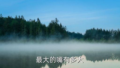 最大的嘴有多大