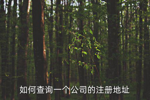 如何查詢一個公司的注冊地址