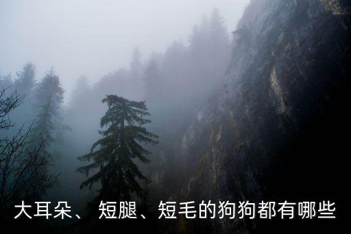大耳朵、 短腿、短毛的狗狗都有哪些