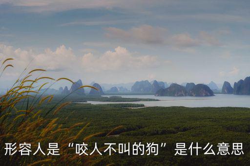 不叫的狗,三種不愛叫的狗適合養(yǎng)在家聽聽