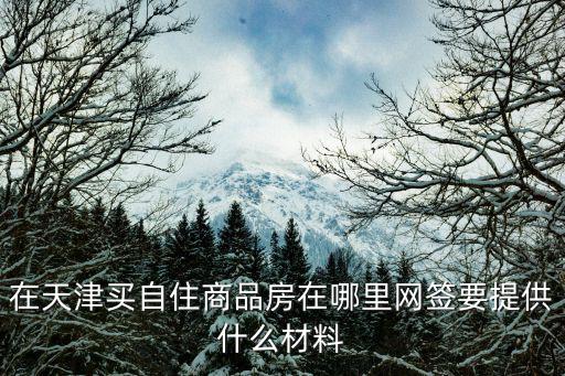 在天津買自住商品房在哪里網簽要提供什么材料