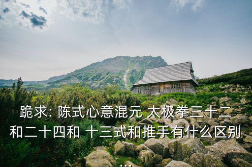 陳式太極拳十三式,正宗陳式太極拳24風(fēng)格