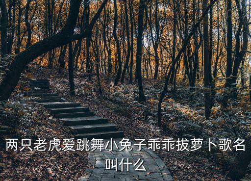 兩只老虎愛跳舞小兔子乖乖拔蘿卜歌名叫什么
