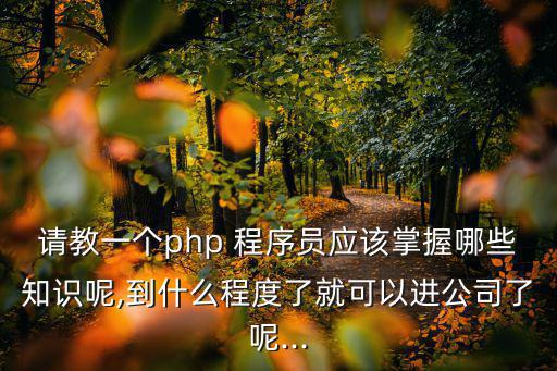 程序員簡歷模板,如何用手機制作簡歷?