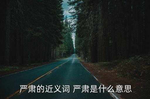 嚴肅的意思,嚴謹謹慎慎重對待工作和生活