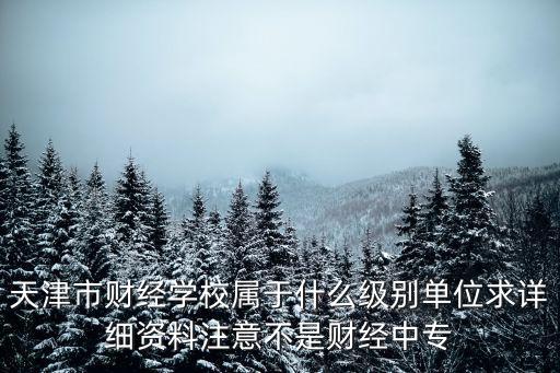 天津市財經學校屬于什么級別單位求詳細資料注意不是財經中專