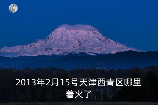 天津市王頂堤著火，2013年2月15號天津西青區哪里著火了