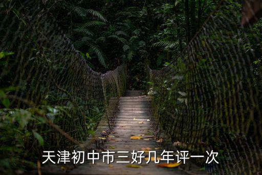 天津初中市三好幾年評一次